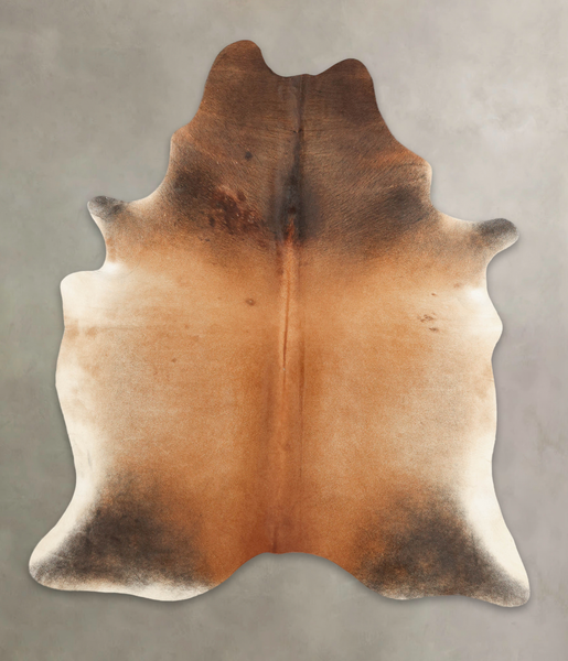 Brown with Red Cowhide Rug #B3826