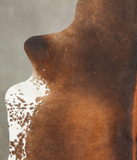 Brown with Red Cowhide Rug #B3832
