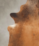 Brown with Red Cowhide Rug #B3834