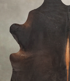 Chocolate Cowhide Rug #B3852