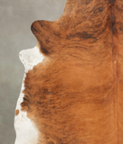Medium Brindle Cowhide Rug #B3874