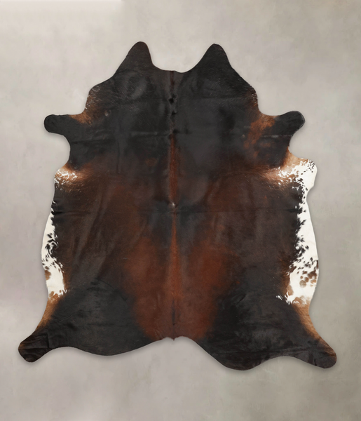 Brown with Red Cowhide Rug #B3901