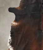 Brown with Red Cowhide Rug #B3901