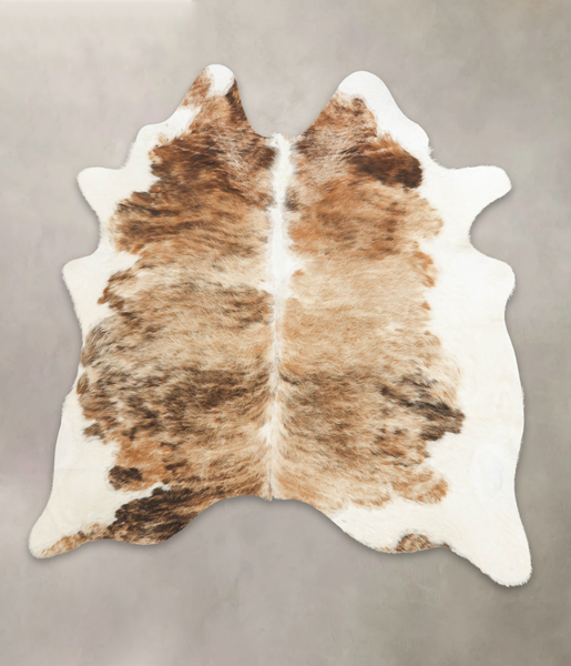 Tricolor Cowhide Rug #B3914