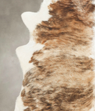 Tricolor Cowhide Rug #B3914