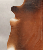 Brown with Red Cowhide Rug #B3929
