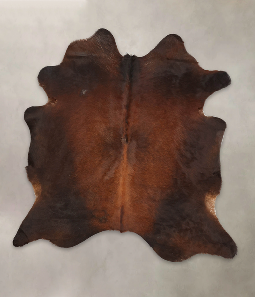 Brown with Red Cowhide Rug #B3943