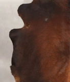 Brown with Red Cowhide Rug #B3943