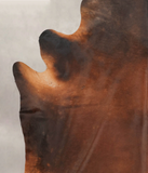 Brown with Red Cowhide Rug #B3945