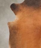Brown with Red Cowhide Rug #B3953