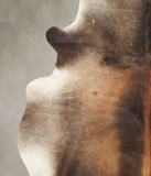Brown with Red Cowhide Rug #B3954