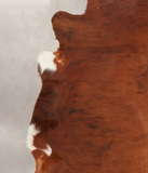 Medium Brindle Cowhide Rug #B3961