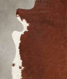 Brown and White Regular Cowhide Rug #B3962