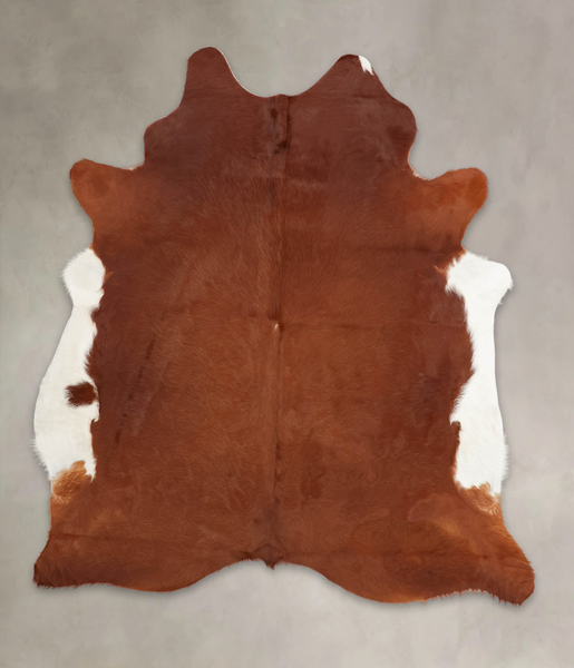 Brown and White Regular Cowhide Rug #B3965