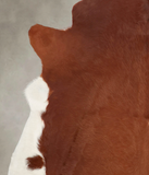 Brown and White Regular Cowhide Rug #B3965
