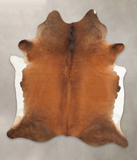 Brown with Red Cowhide Rug #B4005