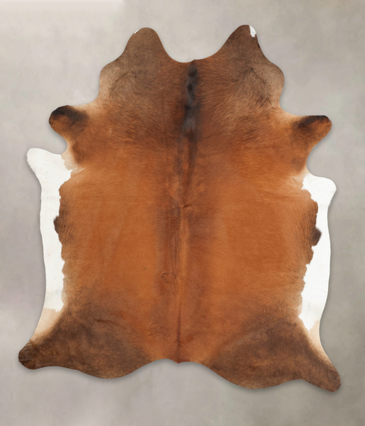 Brown with Red Cowhide Rug #B4005