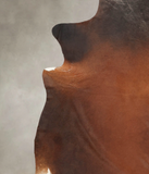 Brown with Red Cowhide Rug #B4024