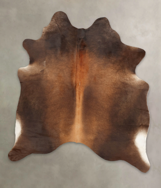 Brown with Red Cowhide Rug #B4030
