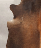 Brown with Red Cowhide Rug #B4030