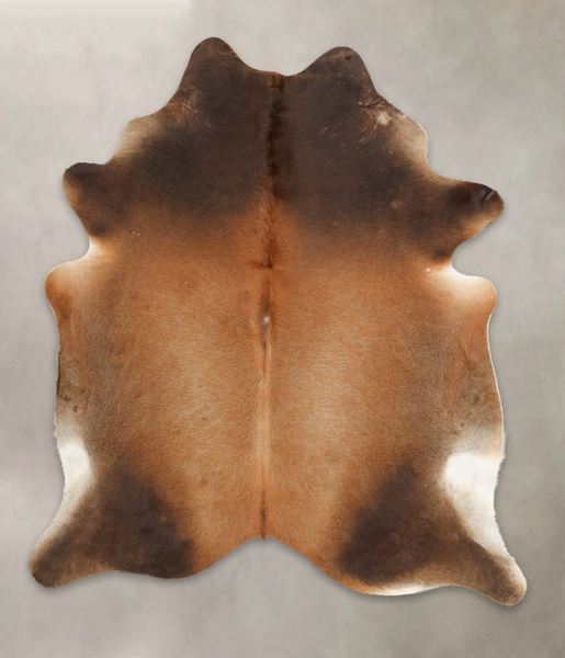 Brown with Red Cowhide Rug #B4050