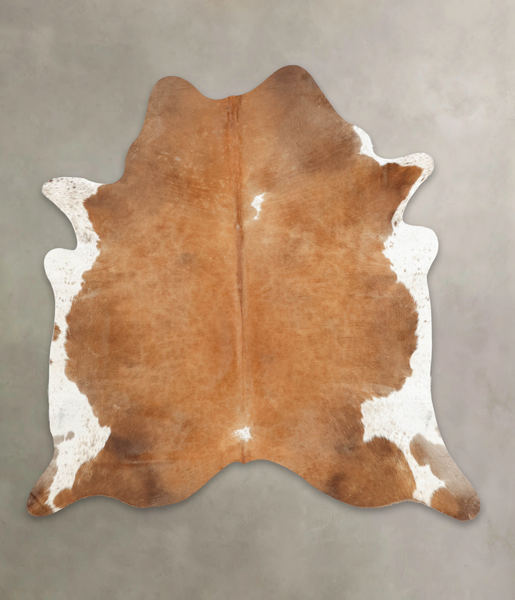 Brown and White Regular Cowhide Rug #B4060