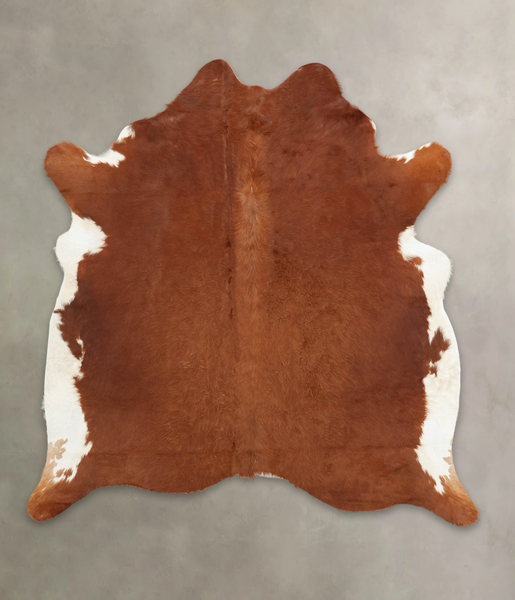 Brown and White Regular Cowhide Rug #B4074