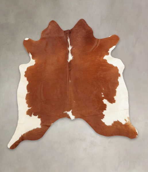 Brown and White Regular Cowhide Rug #B4092