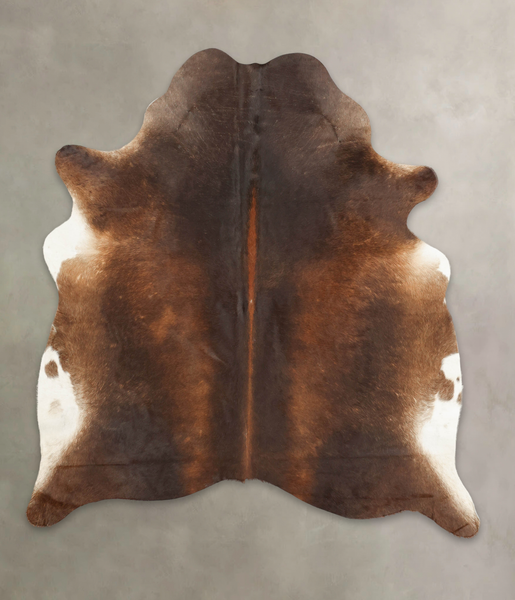 Brown with Red Cowhide Rug #B4099