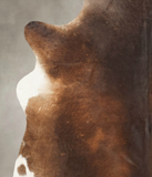 Brown with Red Cowhide Rug #B4099