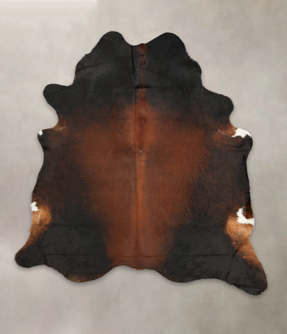 Brown with Red Cowhide Rug #B4103