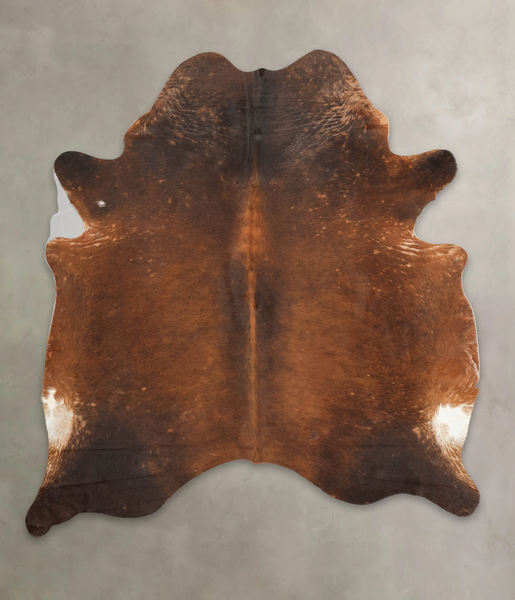 Brown with Red Cowhide Rug #B4169