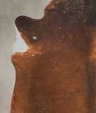 Brown with Red Cowhide Rug #B4169