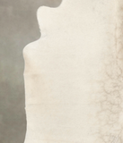 Ivory with Beige Cowhide Rug #B4181