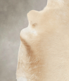 Champagne Cowhide Rug #B4420