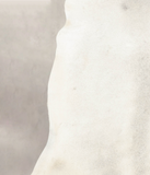 Light Grey Cowhide Rug #B4665