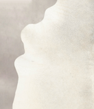 Light Grey Cowhide Rug #B4724