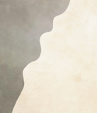 Palomino Cowhide Rug #B4924