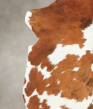 Tricolor Cowhide Rug #B5295