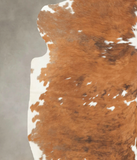 Tricolor Cowhide Rug #B5301
