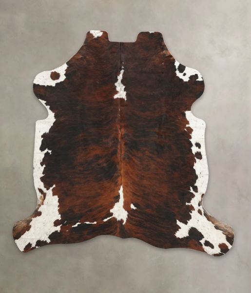 Tricolor Cowhide Rug #B5309