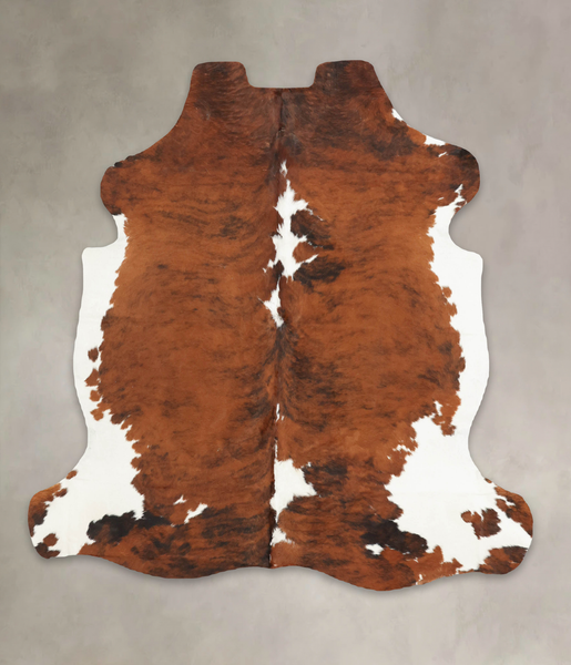 Tricolor Cowhide Rug #B5366