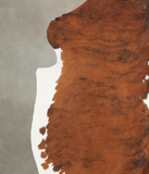 Tricolor Cowhide Rug #B5366