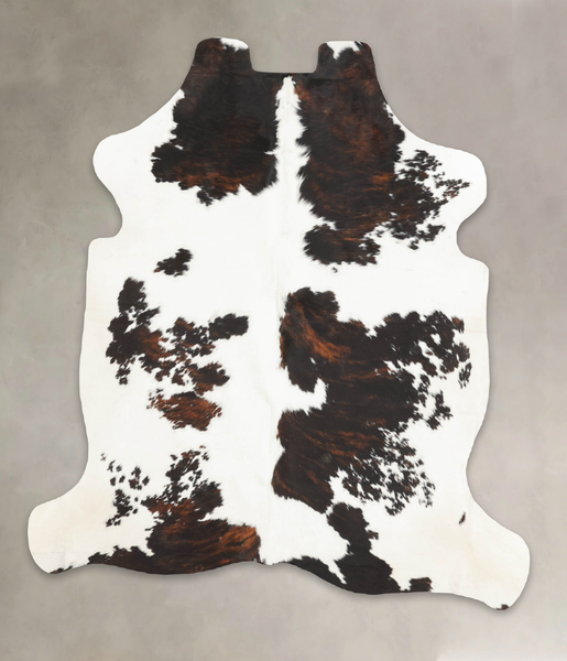 Tricolor Cowhide Rug #B5368