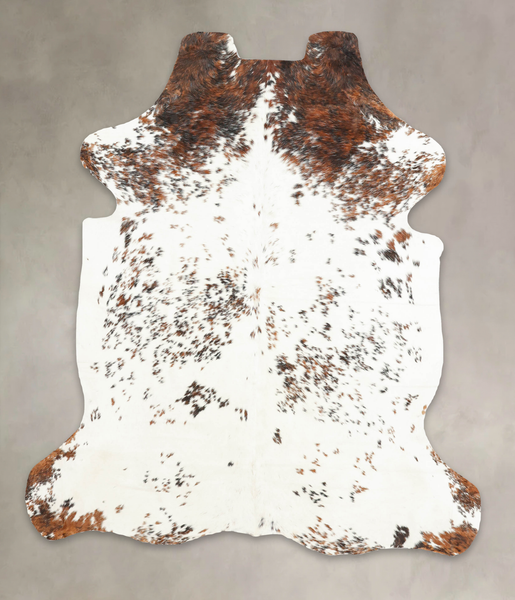 Tricolor Cowhide Rug #B5370