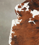 Tricolor Cowhide Rug #B5376