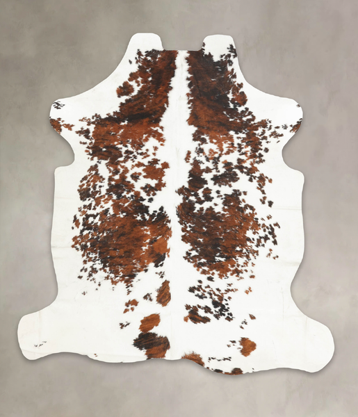 Tricolor Cowhide Rug #B5384