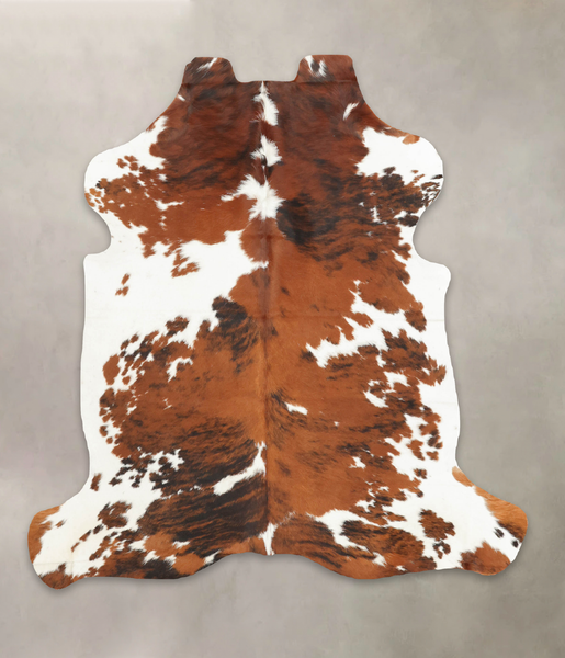 Tricolor Cowhide Rug #B5396