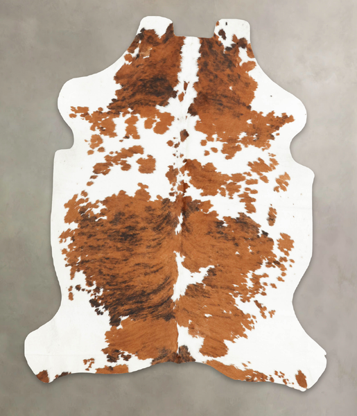 Tricolor Cowhide Rug #B5398