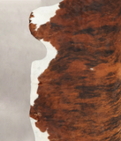 Tricolor Cowhide Rug #B5404